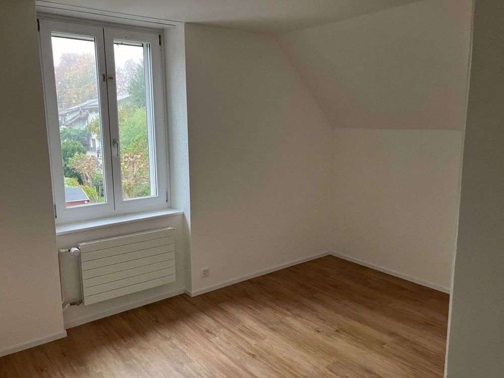 Erstbezug! Vollrenovierte Luxus Wohnung mit Garage - Bild 3