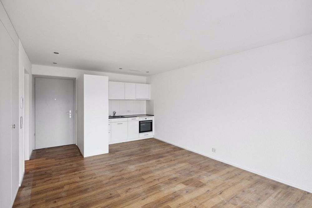 MODERNE WOHNUNG IN BISCHOFSZELL SUCHT EINEN NACHMIETER - Bild 3
