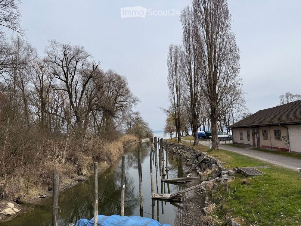 3 1/2 Zimmer - Attikawohnung - Neubau am Bodensee - naturverbunden - modern - zentral - neu - Bild 4