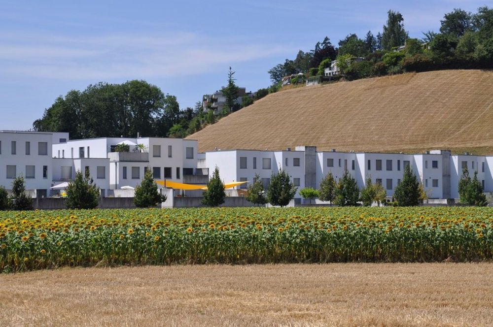 3 ½ Zimmer-Wohnung in Bremgarten b. Bern mieten - Bild 2