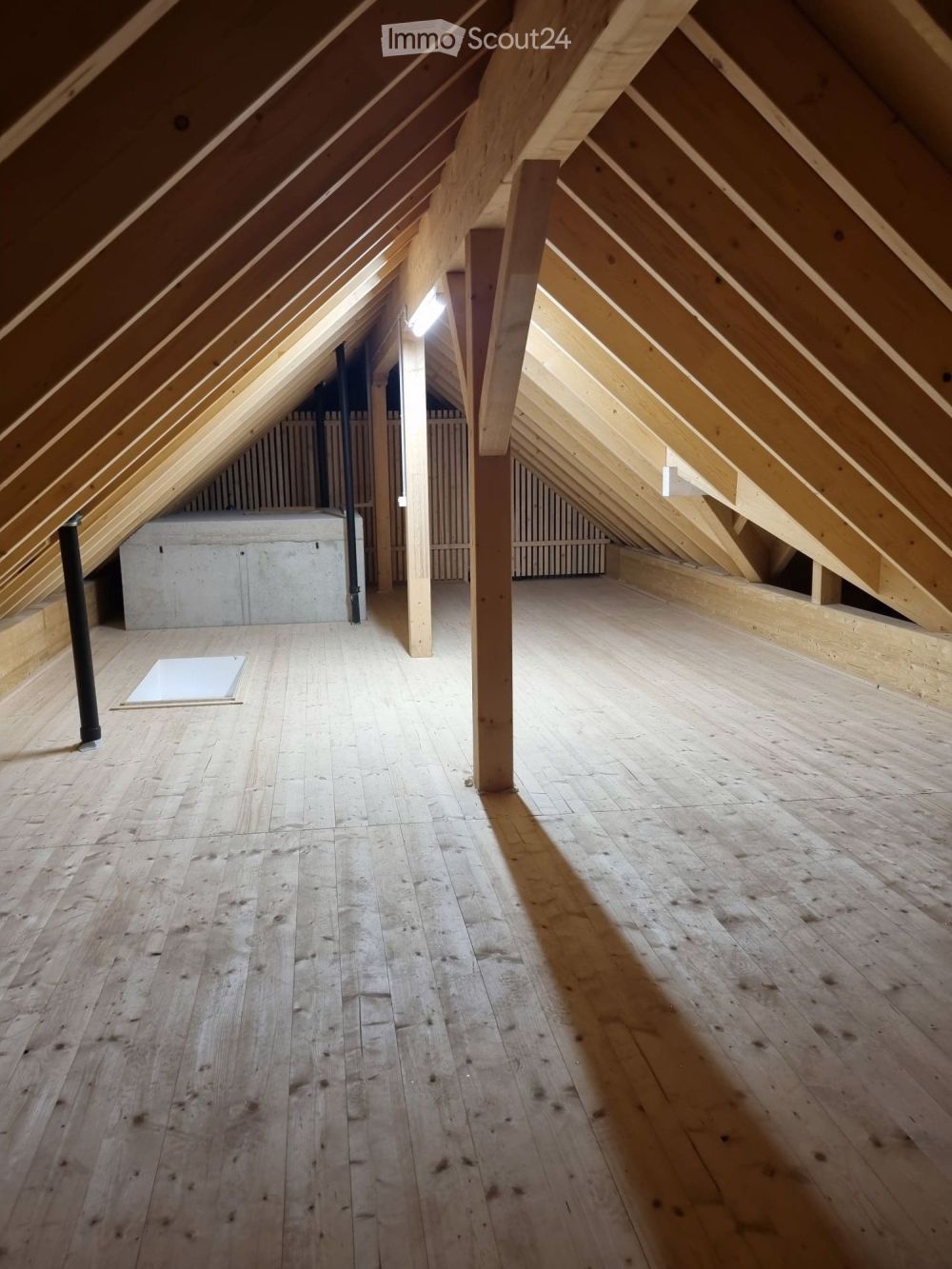 Erstvermietung - Moderne 4.5-Zimmer-Neubau-Wohnung in Friltschen - Bild 13