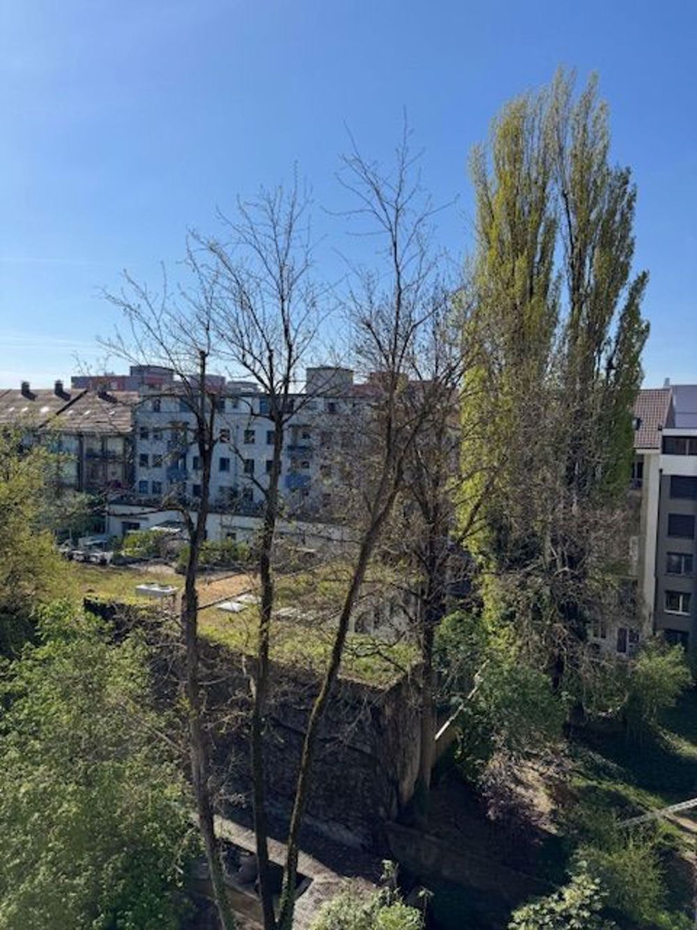 Ab sofort, Erstbezug - Wunderschöne 3.5 Zi Wohnung W3, lauschiger Balkon - Bild 7