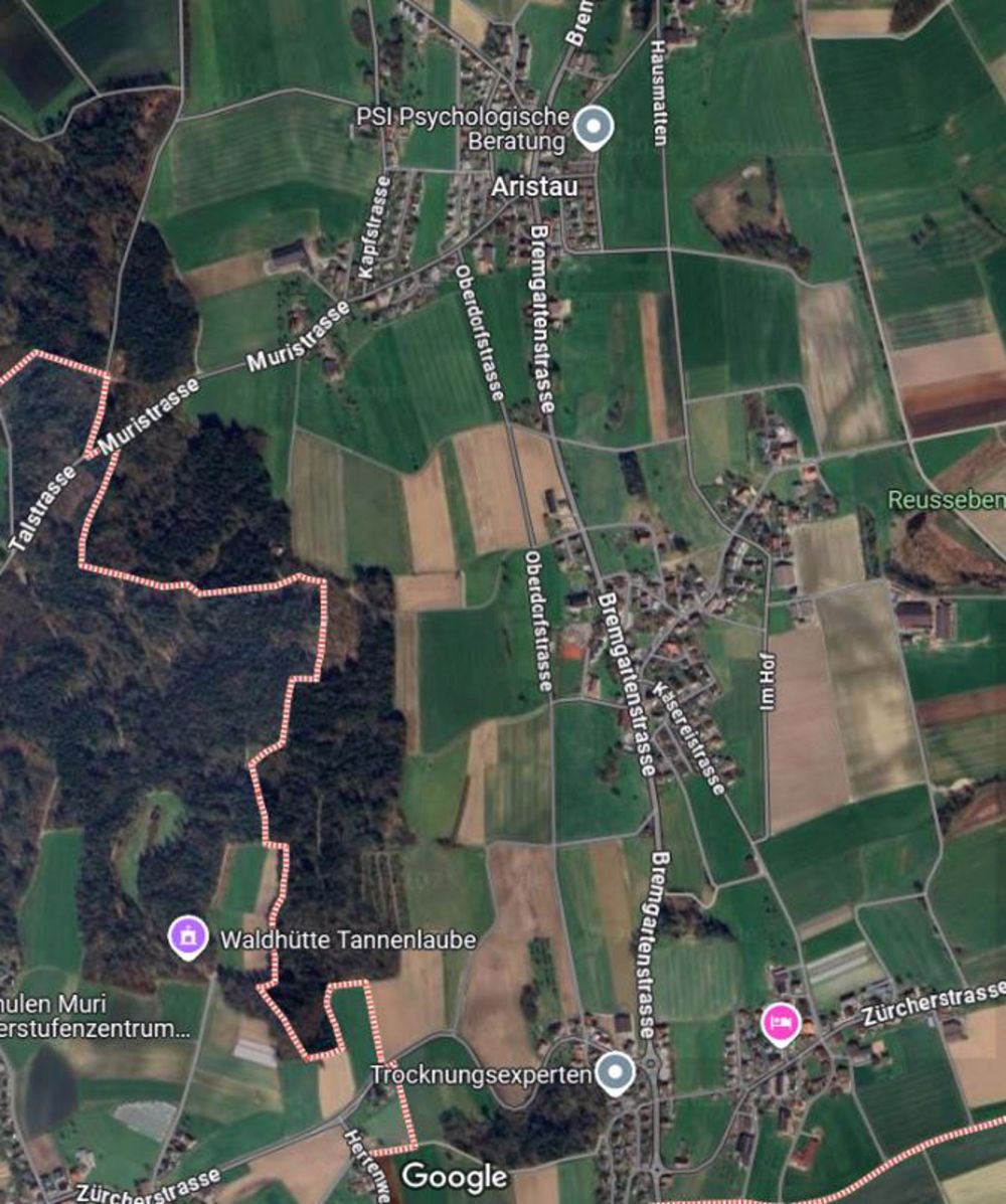 Hinweis, dies ist eine Tauschwohnung - Bild 1