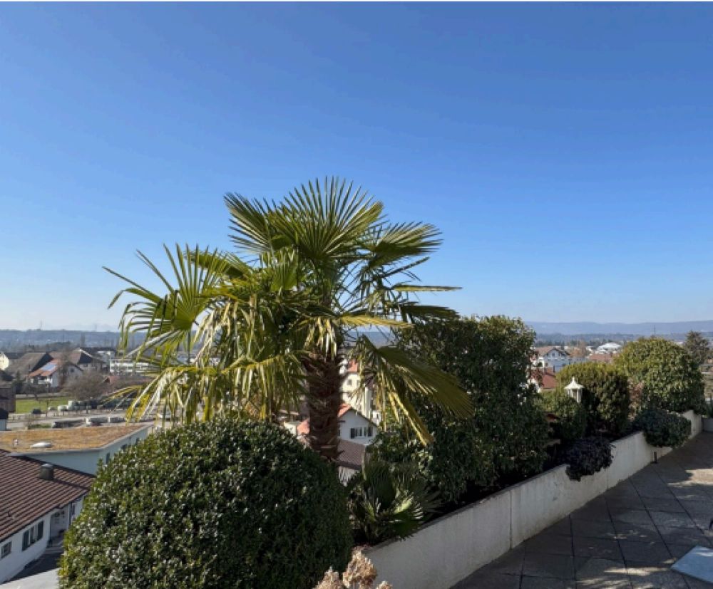 Exklusive Terrassenwohnung mit Traumaussicht zu verkaufen - Bild 1