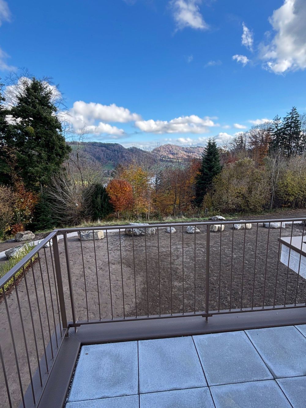 Neubau 3.5 Zimmer-Attika-Wohnung mit zwei Terrassen und Blick in die Natur - Bild 5