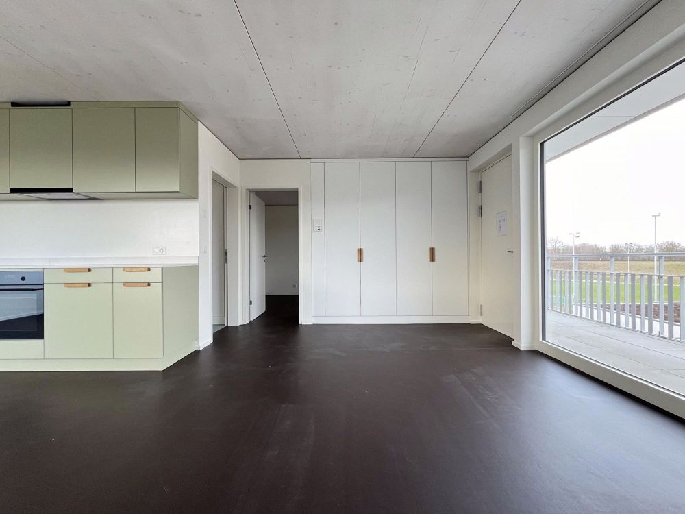Wohn-/Eingangsbereich mit offener Küche
