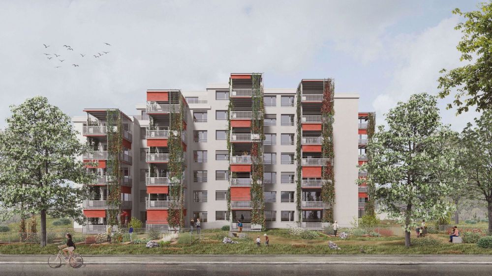 Erstbezug: 4.5-Zimmerwohnung im 5. OG: familienfreundlich - naturnah - modern - Bild 10