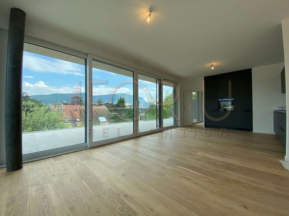 Magnifique attique de 5 pièces avec terrasse et superbe vue à Thônex - Bild 2
