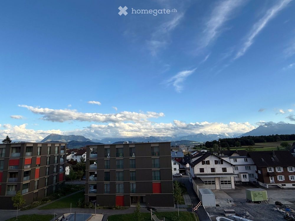 Moderne 3.5 Zimmer Attikawohnung mit Aussicht und Stiel - Bild 1