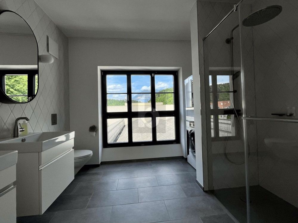 1 Zimmer-Loft in Kollbrunn mieten - Bild 4