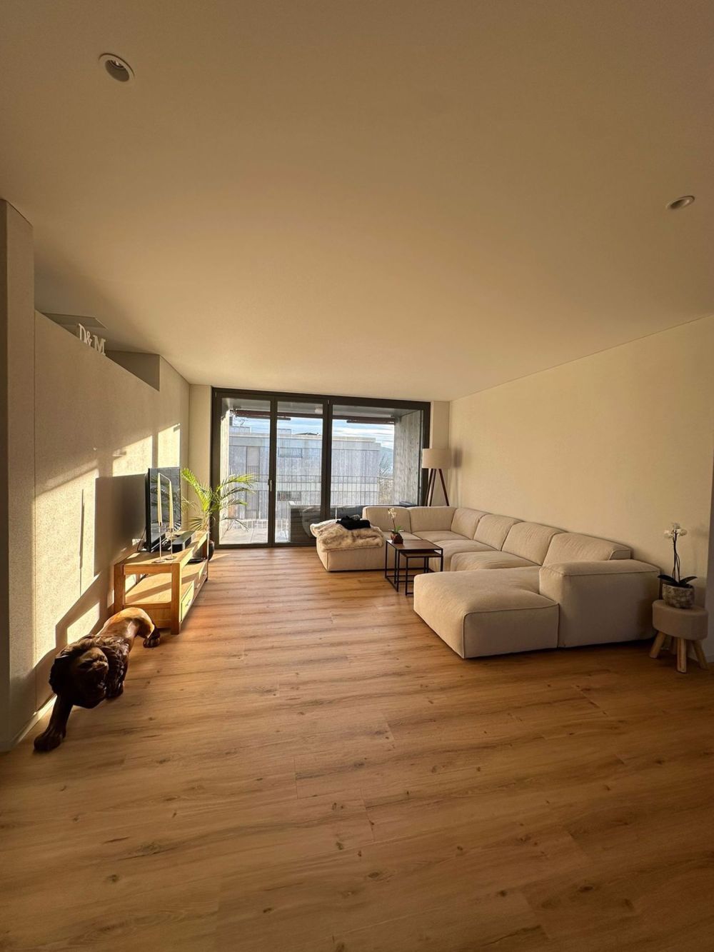 4 ½ Zimmer-Wohnung in Winterthur mieten - Bild 1