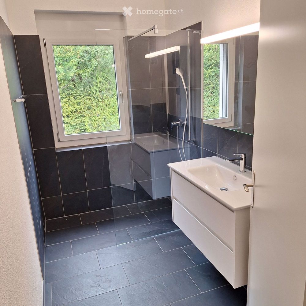 NEUBAU- Helle, grosszügige 4.5 Zimmer Dachwohnung - Bild 11