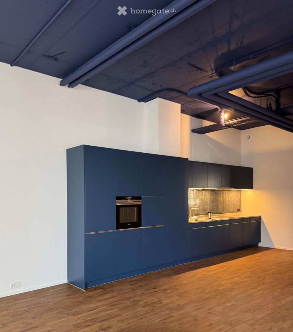 Moderne Loft-Wohnung in Zürich Altstetten - Bild 1