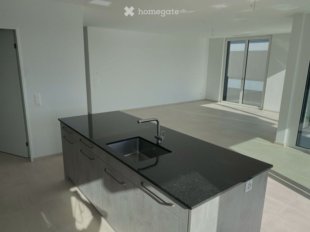 Lichtdurchflutete 3.5 Zi-Attikawohnung mit grosser Süd-Terrasse - Bild 3