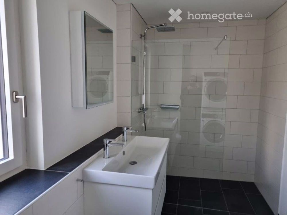 2.5 Zimmer Attikawohnung - Bild 7