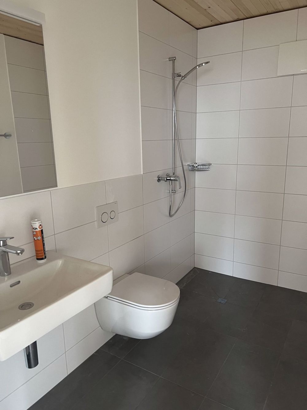 7 Zimmer-Wohnung in Ossingen mieten - Bild 8