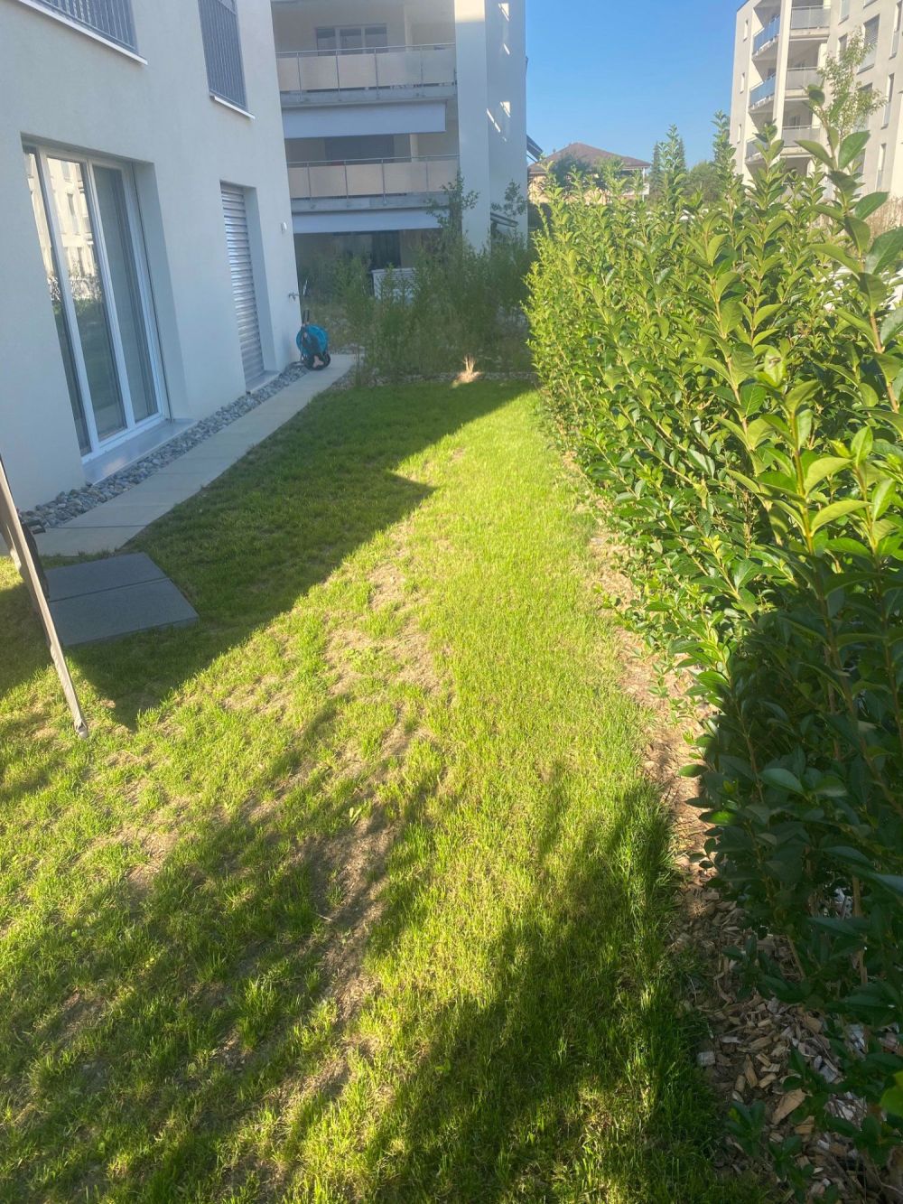 NEUBAU 3 1/2 Zimmer Wohnung zu vermieten im EG - Bild 4