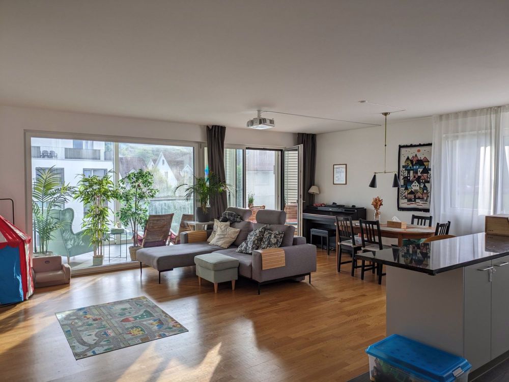 Schöne 4.5 Zi-Wohnung (Neubau) ab 1.Nov 25 - Bild 1