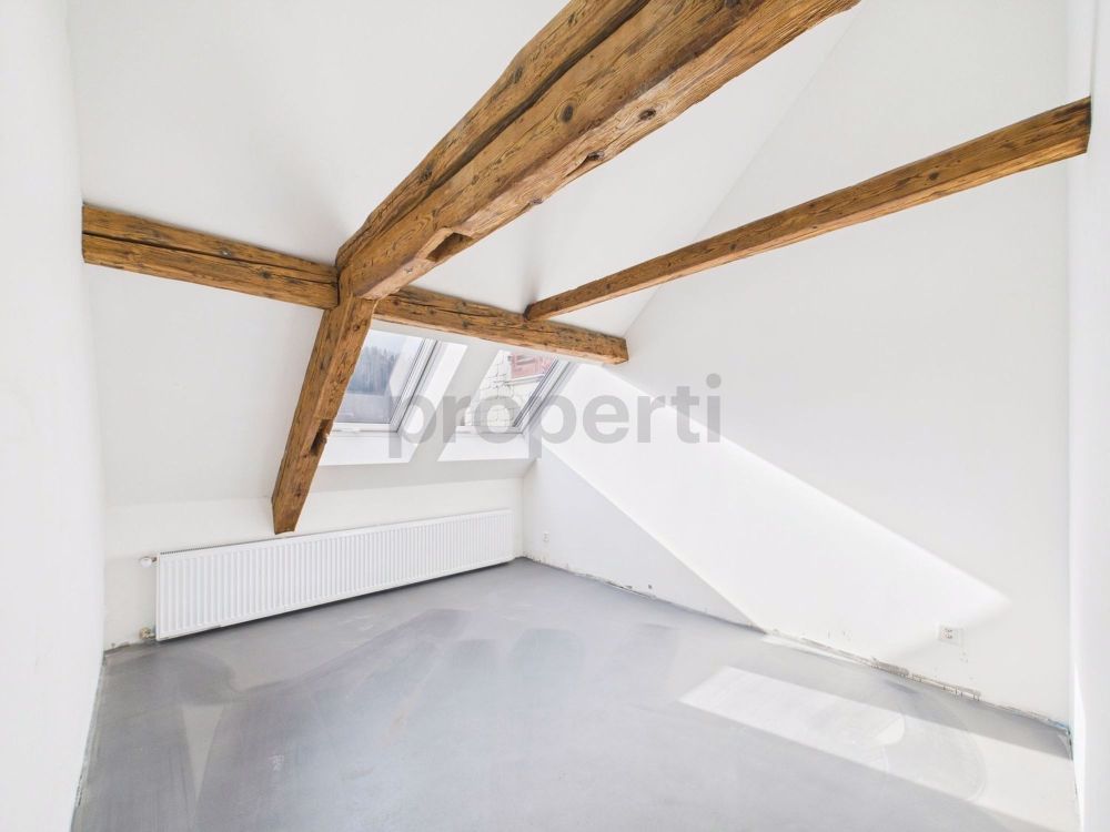 Hochwertiges Loft mit atemberaubender Aussicht in Lichtensteig, Kanton SG - Erstvermietung nach Kernsanierung - Image 5
