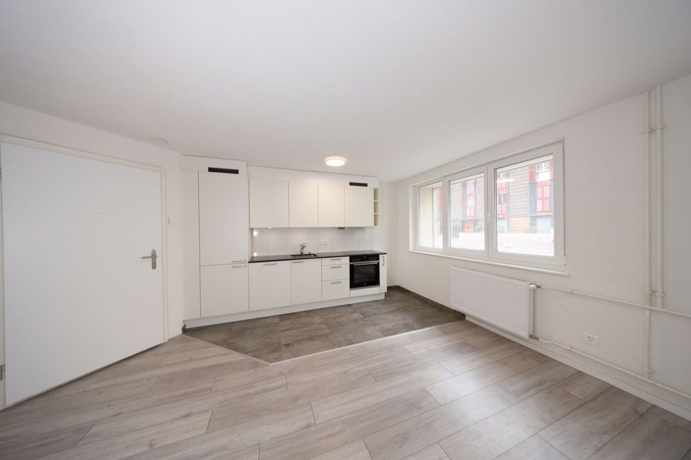 Ihr Traumzuhause wartet! Großzügiger Neubau-Komplex zur Erstvermietung - Bild 1