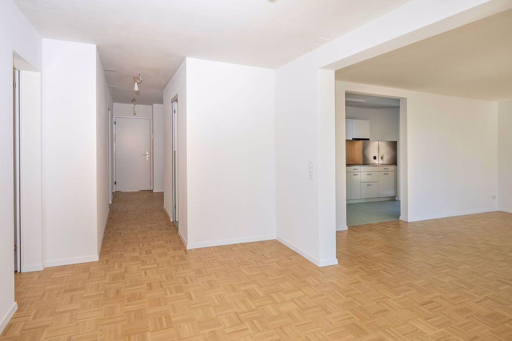 Erstvermietung nach Totalsanierung - 4.5 Zimmer-Dachwohnung - Eingangsbereich