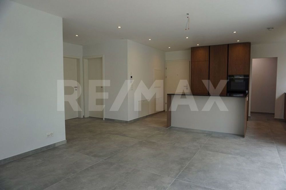 3 ½ Zimmer-Wohnung in Murten mieten - Bild 4