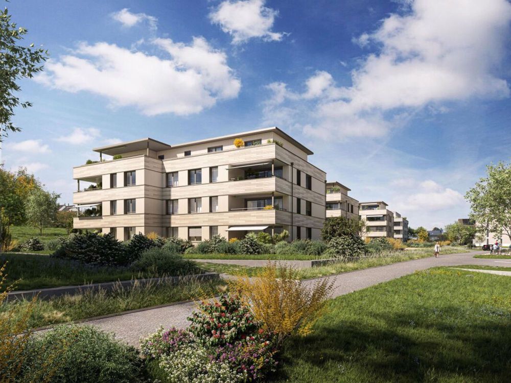 Neubauprojekt "Coll d'Or" - 4 1/2 Zimmer-Wohnung - Winterberg_Aussen_Baufeld-K.jpg