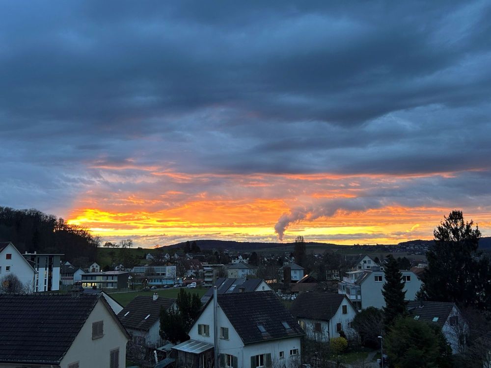 Möbliertes WG-Zimmer mit eigenem Bad & Dachterrassenzugang Attikawohnung - Bild 7