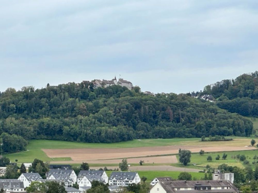 Erstvermietung Duplex-/Maisonette-Wohnung in Steinmaur - Bild 7