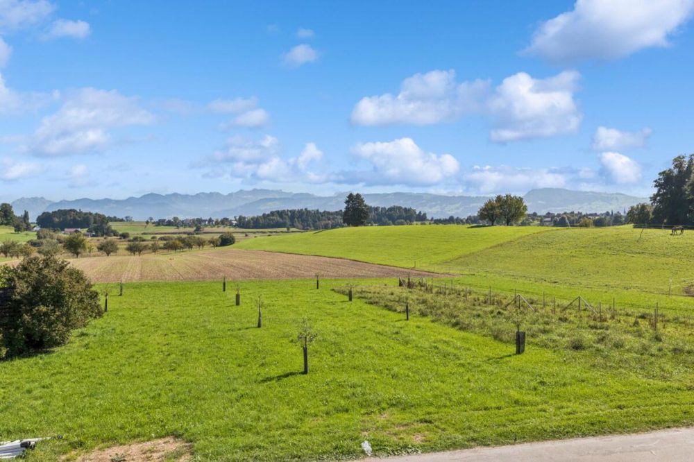NEUBAU: 2.5 Zimmer-Wohnung im Erdgeschoss - Aussicht