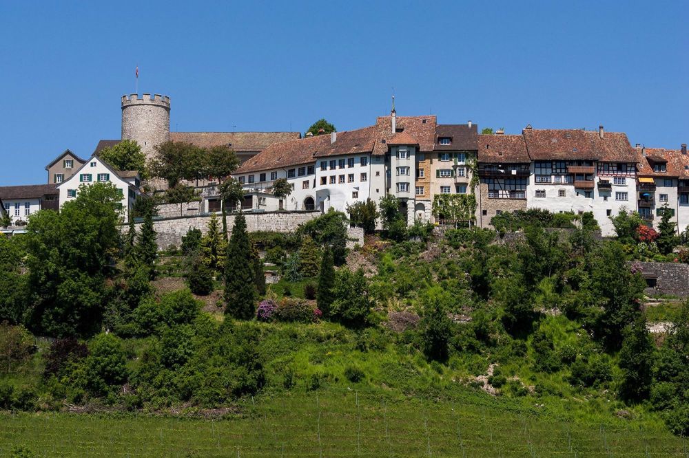 neue Wohnungen in Dielsdorf mit Sicht auf Regensberg - Bild 1