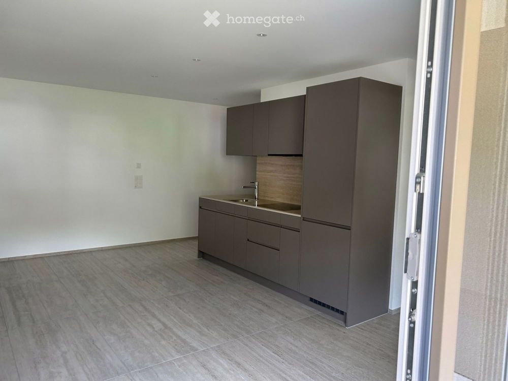 Moderne 2.5-Zimmer-Neubau-Wohnung mit Balkon in Trimbach - Bild 1