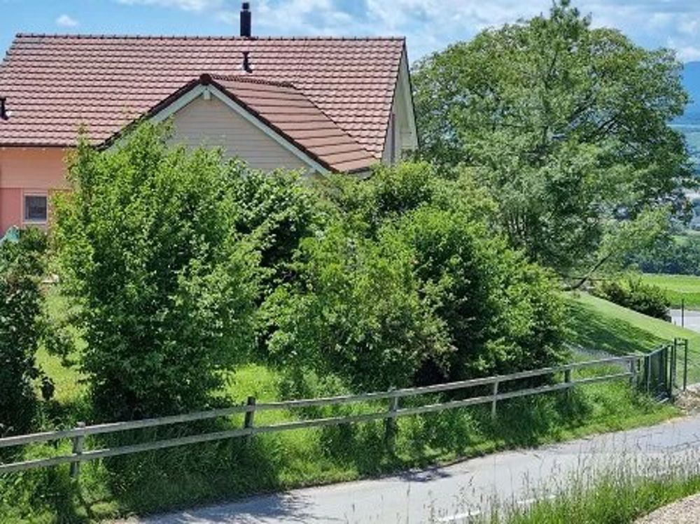 Neubau, 5.5-Zimmer-Haus auf 3 Ebenen - Bild 1