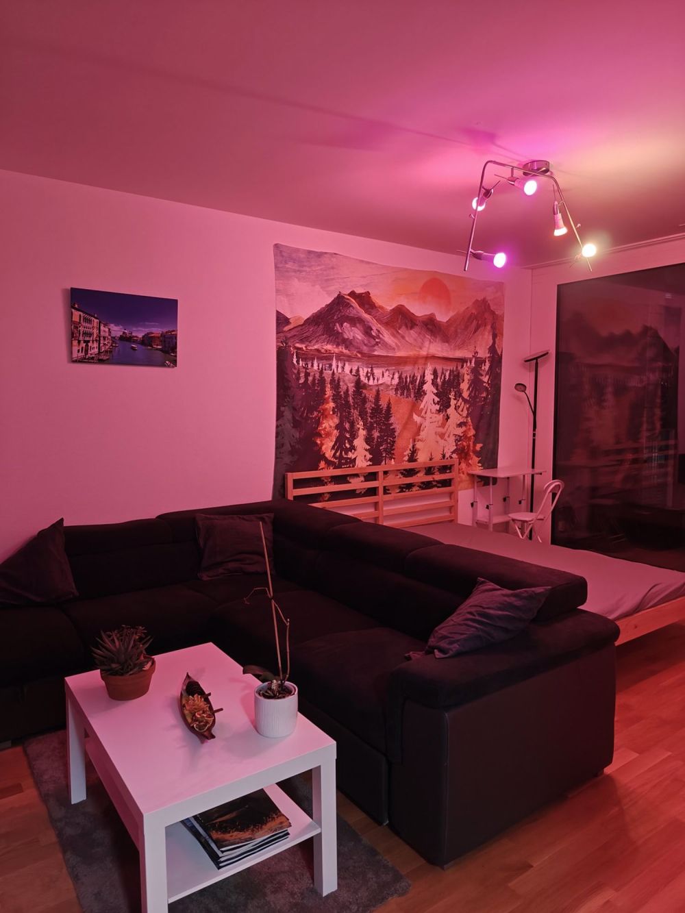 WG Zimmer in Kriens mieten - Bild 10