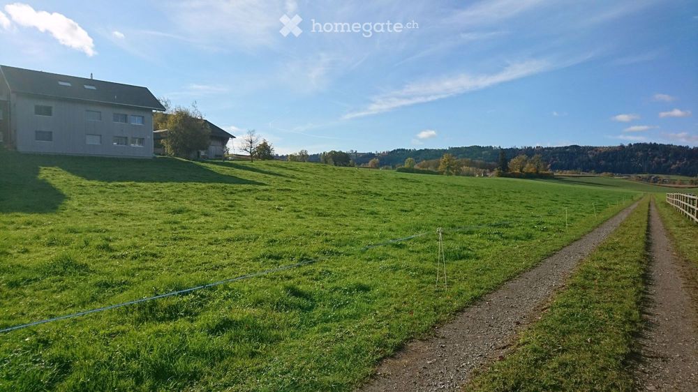 Moderne 4.5-Zimmer-Terrassenwohnung in idyllischer Landschaft - Bild 7