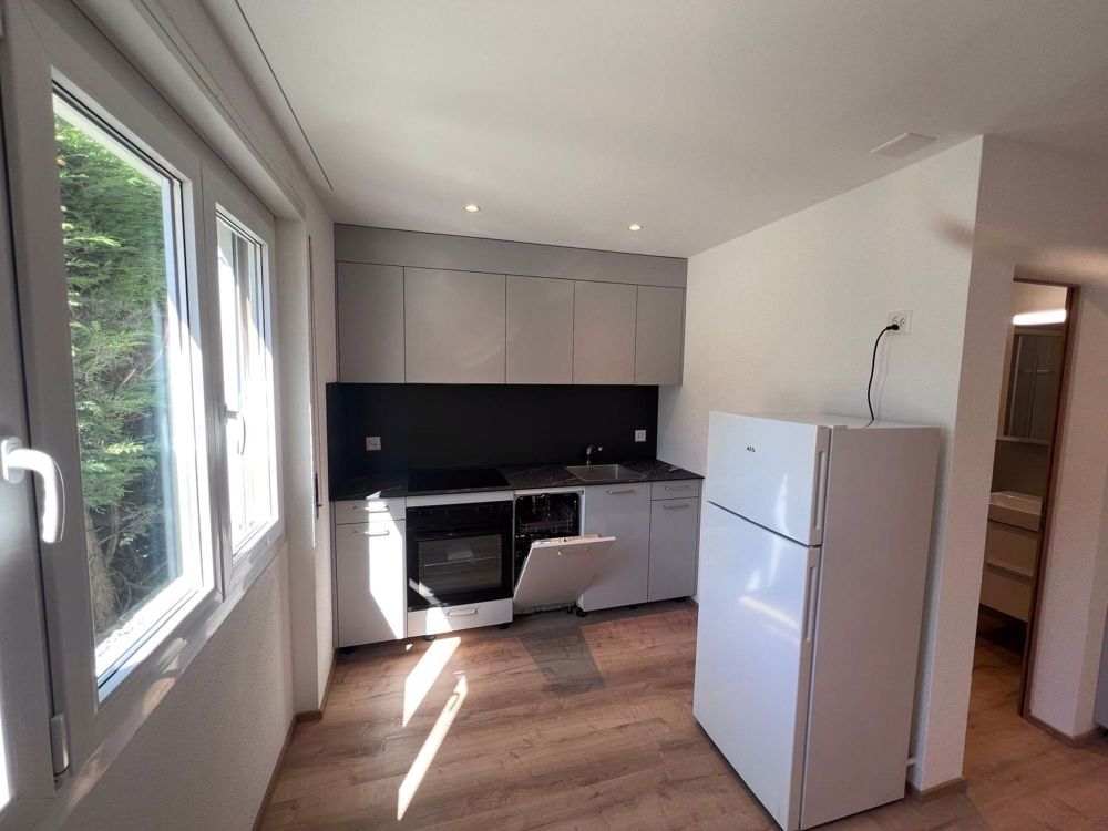 2.5 Zimmerwohnung - Erstbezug nach Renovation - Bild 2