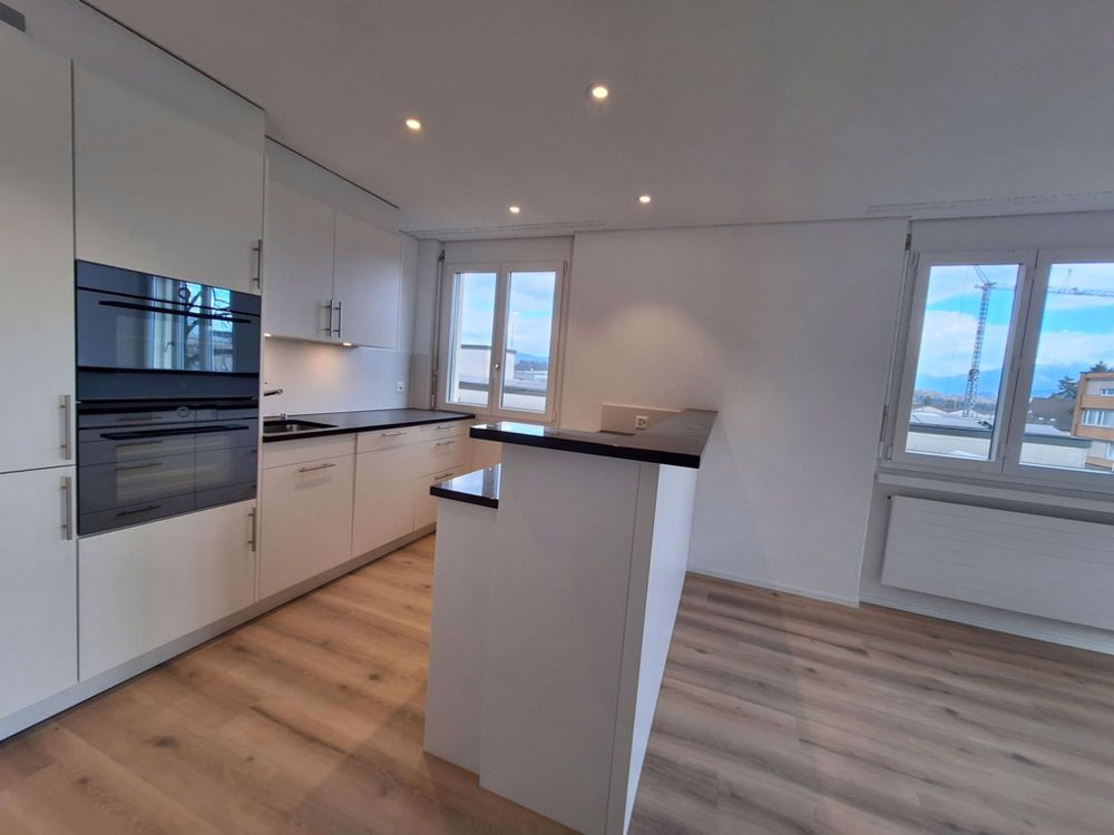 Erstvermietung: 4.5-Zimmer-Wohnung mit grosser Terrasse - Küche