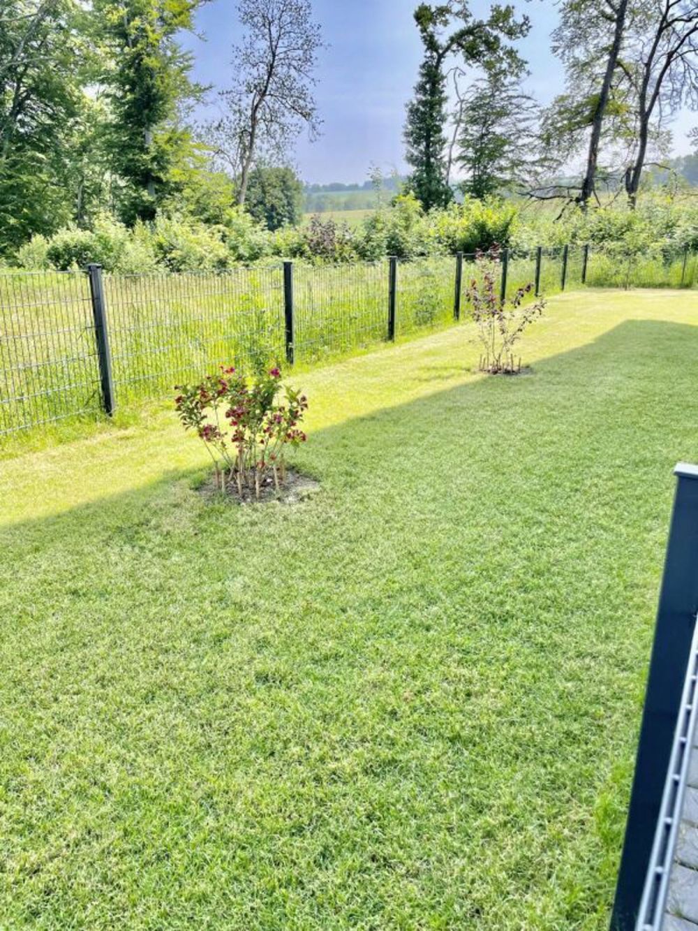 Appartement neuf très bien situé, au calme et à 6 minutes à pied du centre du Mont | dreamo.ch - Bild 3