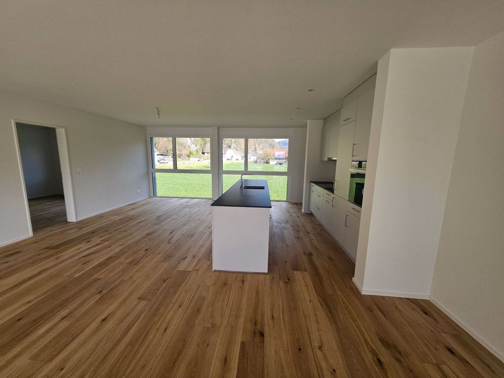 3.5 Zi Attika Wohnung mit unverbaubarer Aussicht - Bild 5