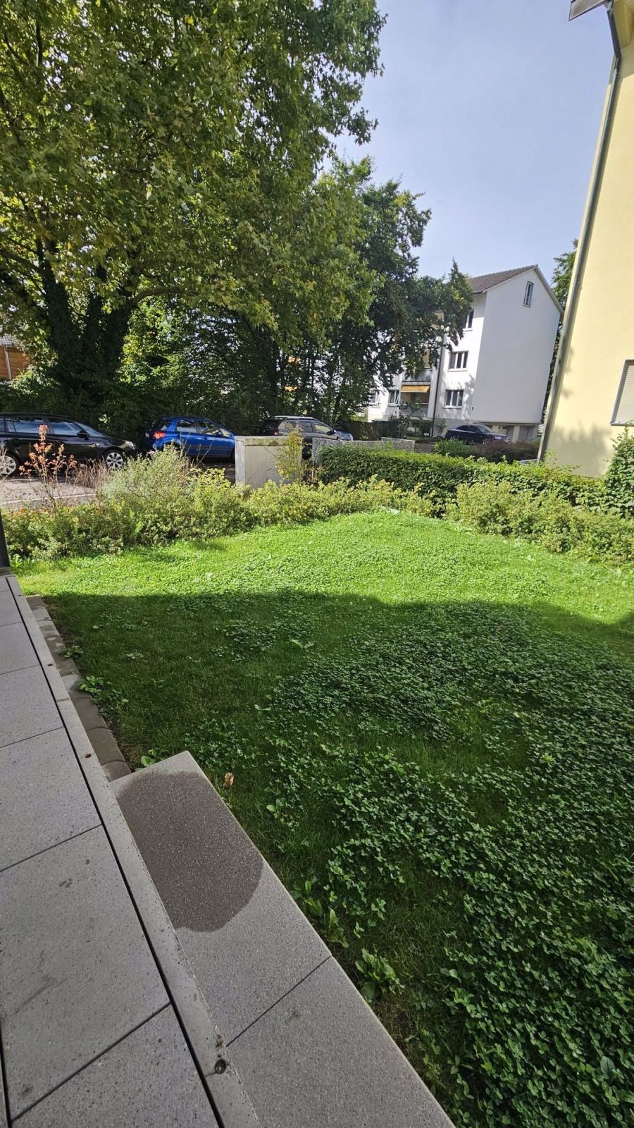Neuwertig 4.5 Zimmerwohnung in Münchenstein - Bild 13