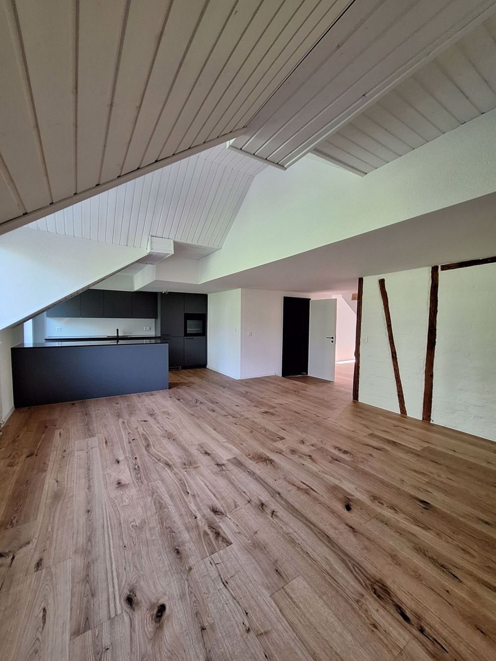 Erstbezug Altbau-Loft-Maisonette mit Cheminée auf 120 m2 - Wohnbereich