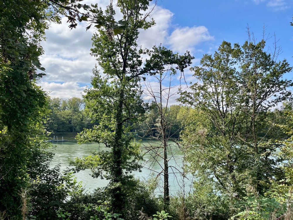 Neubau 8 Einfamilienhäuser in Auenstein - Wohnen an der Aare (EFH 1 + EFH 6 + EFH 8 reserviert) - Bild 6