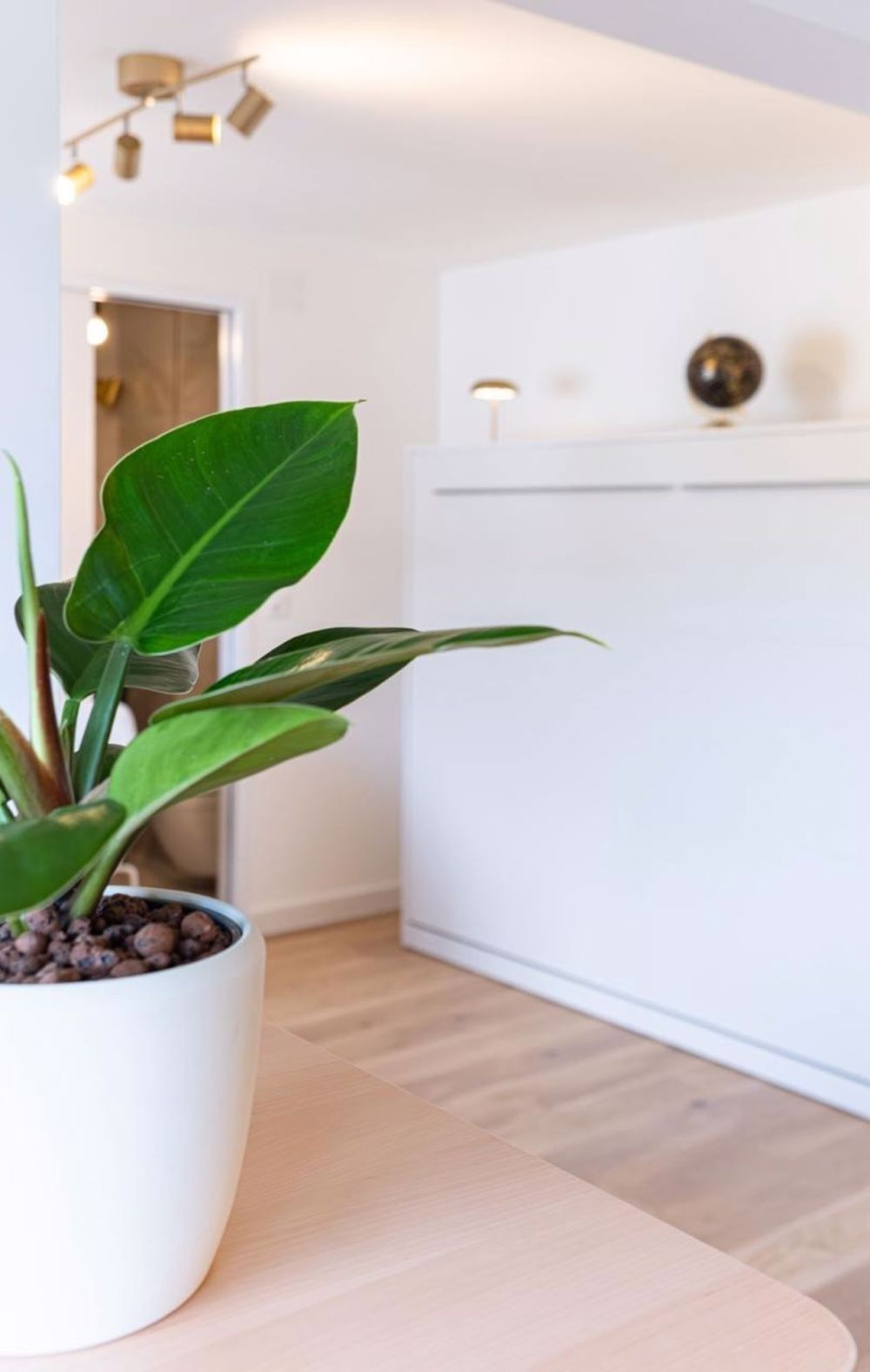 1 ½ Zimmer-Wohnung in Steinhausen mieten - Bild 2