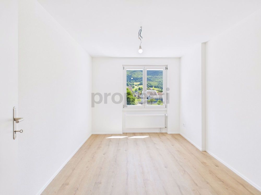 Apartment for rent in Matzendorf, Switzerland - Bild 8