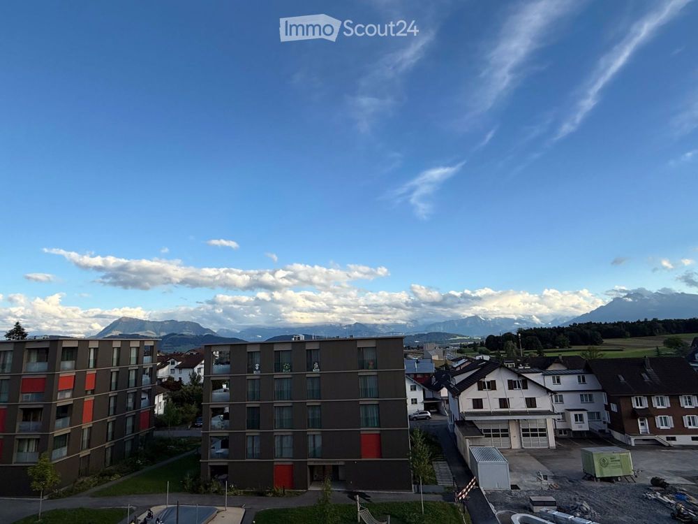 Moderne 4.5 Zimmer Attikawohnung mit Aussicht und Stiel - Bild 1
