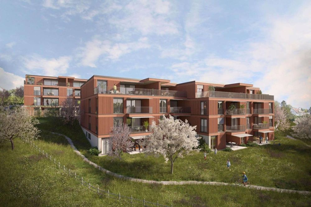 Hochwertige Neubauwohnung mit grünem Freiraum ab Frühjahr 2026 - Bild 5