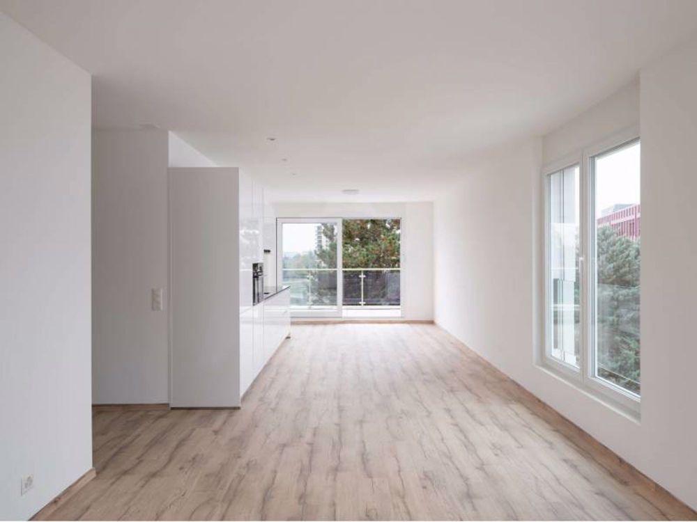 Helles Apartment - Grand-Lancy - Bild 4