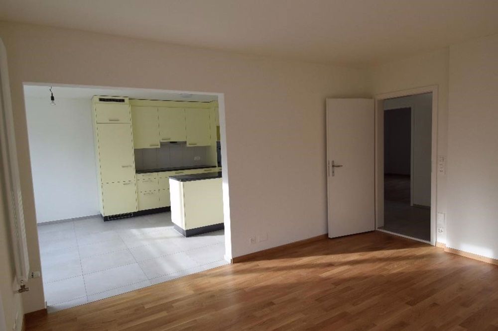 Aus Alt mach Neu - schöne 4.5 Zimmer Wohnungen im Breitsch - Bild 11