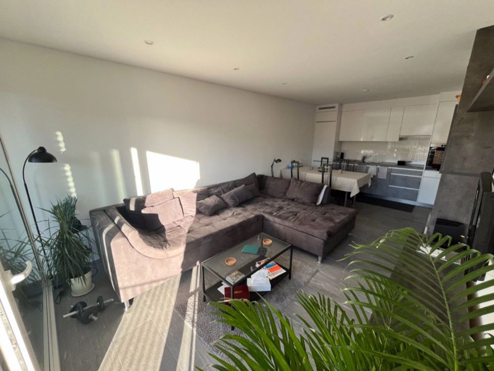 Moderno appartamento 2.5 locali con balcone a Pazzallo - Bild 2
