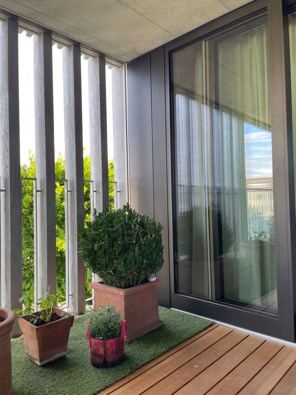 3.5 Zimmer Wohnung in Rapperswil SG - Bild 2